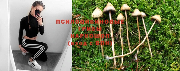 эйфоретик Медвежьегорск