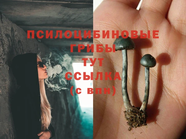 круглые Абаза
